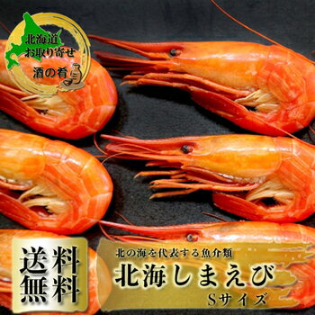 送料無料 北海しまえび Sサイズ 500g【凍】