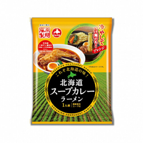 【割引送料込み】 藤原製麺 北海道 スープカレーラーメン 乾麺 1人前 × 10個（計10食） 北海道 二夜干し麺使用 インスタント ご当地ラーメン