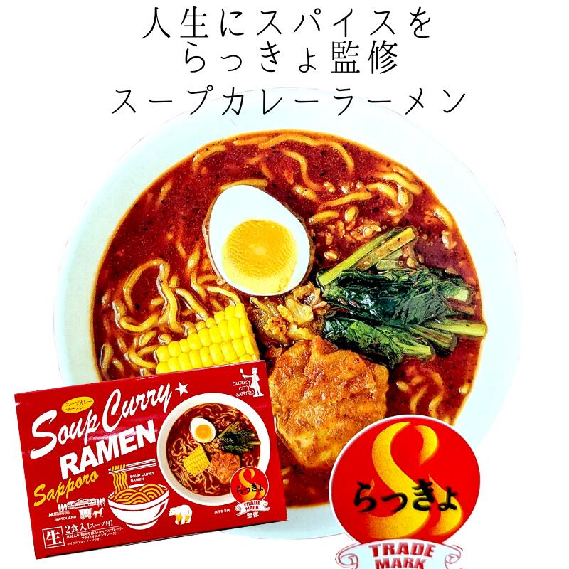 【割引送料込みあり】札幌スープカレーの名店【らっきょ　監修】スープカレーラーメン　生2食入り　スープ・具材入り【お取り寄せ 北海道 グルメ お土産 らーめん Soup Curry RAMEN 】のサムネイル