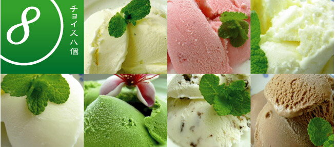 【黒沢牧場】手作りアイスクリーム選べる8個セット