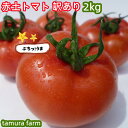 【期間限定ポイント2倍】【あす楽】赤土トマト 訳あり 2kg 産地直送 お試し 大玉トマト とまと 食品 高糖度 トマト 旨味 ミネラル成分 ..