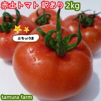 赤土トマト 訳あり 2kg 産地直送 お試し 大玉トマト とまと 食品 高糖度 トマト 旨...