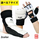 【本日限定ポイント5倍】 父の日...