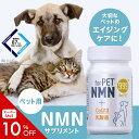 \スーパーSALE 10%OFF/ ペット用 β-NMN for PET NMN 60粒 nmn 国産 ペットサプリ 犬 猫 ウサギ ヤギミルク 免疫 腸活 エイジングケア 健康 nmn サプリ 抗酸化 アンチエイジング 肝機能 コエンザイムQ-10 マルチ 乳酸菌 レバーHi All in One シニア犬 老犬 幼犬 高純度