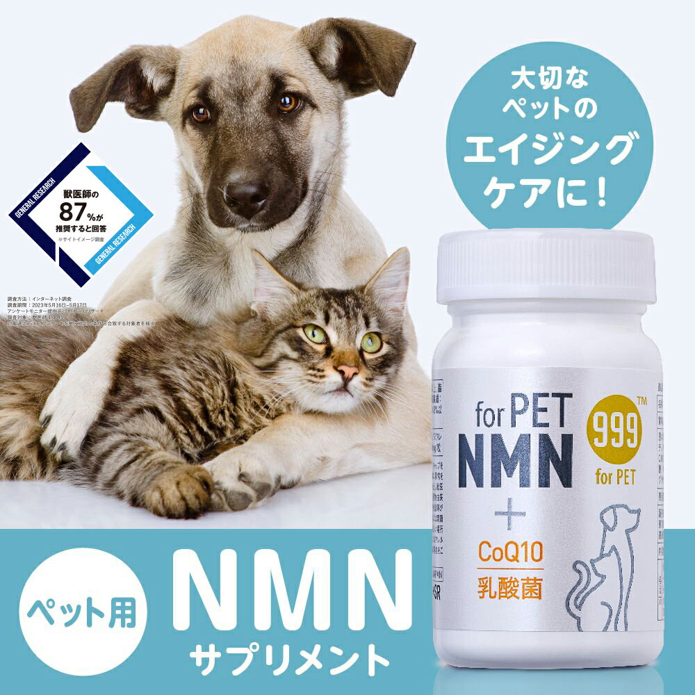 ペット用 β-NMN for PET NMN 60粒 nmn 国産 ペットサプリ 犬 猫 ウサギ ヤギミルク 免疫 腸活 エイジングケア 健康 nmn サプリ 抗酸化 アンチエイジング 肝機能 コエンザイムQ-10 マルチ 乳酸菌 レバーHi All in One シニア犬 老犬 幼犬 高純度 99.9% 3000mg 999studio公式