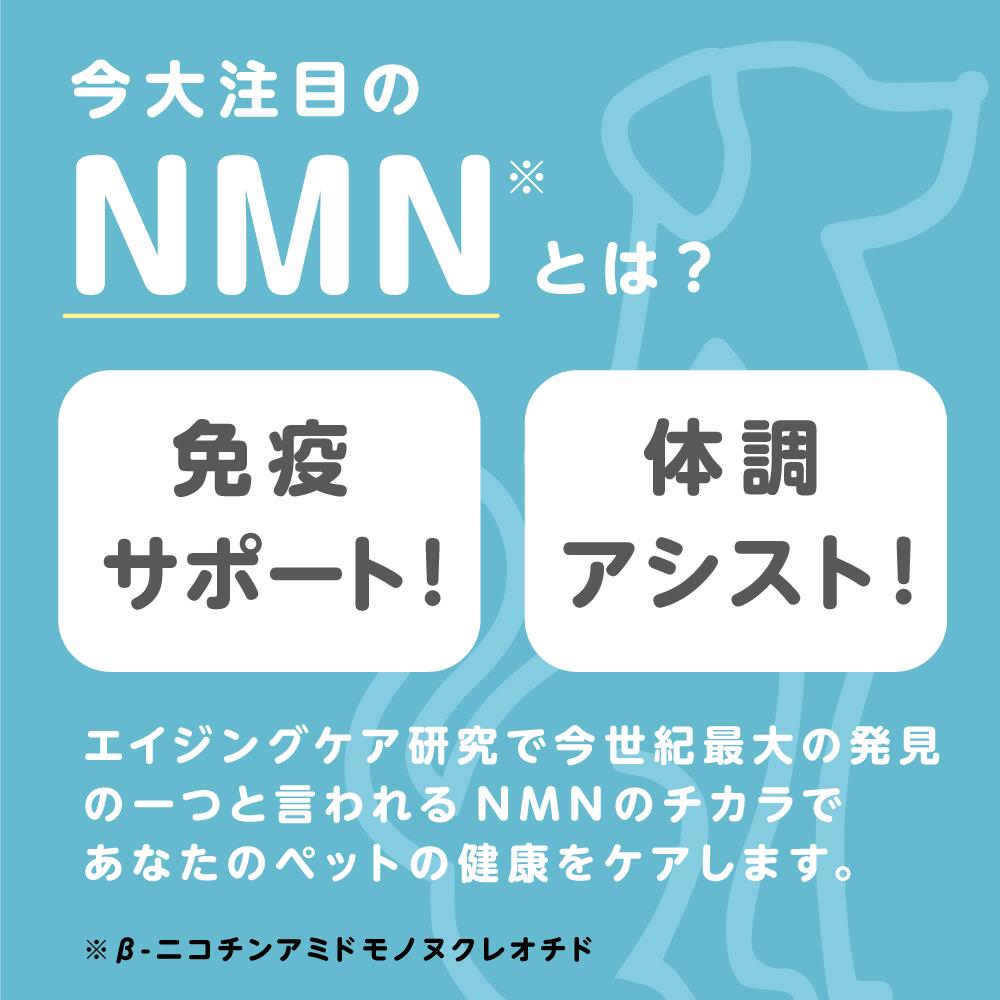 ペット用 β-NMN for PET NMN 60粒 nmn 国産 ペットサプリ 犬 猫 ウサギ ヤギミルク 免疫 腸活 エイジングケア 健康 nmn サプリ 抗酸化 アンチエイジング 肝機能 コエンザイムQ-10 マルチ 乳酸菌 レバーHi All in One シニア犬 老犬 幼犬 高純度 99.9% 3000mg 999studio公式