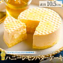 バターケーキ 感動のくちどけ ハニーレモンバターケーキ バタークリームケーキ 洋菓子 食べ物 贈答 贈り物 花以外 食品 プレゼント ケーキ はちみつ 誕生日 ギフト ケーキ お取り寄せ 人気 おすすめ 送料込み お取り寄せスイーツ 食べ比べ ホール 送料無料 単品