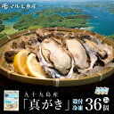 冷凍 殻付き真牡蠣(生食可) 3袋 36個 