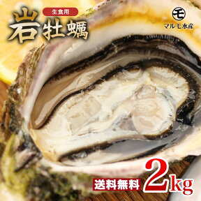 殻付き岩牡蠣(生食用) 2kg 1個130～180g 九十九島産 産地直送 長崎 牡蠣ナイフ付 ギフト お中元 敬老の日 BBQ バーベキュー 夏 旬 2キロ 海のミルク 焼きガキ カキフライ お取り寄せ 【送料無料】マルモ水産 [岩がき/岩ガキ/生牡蠣]