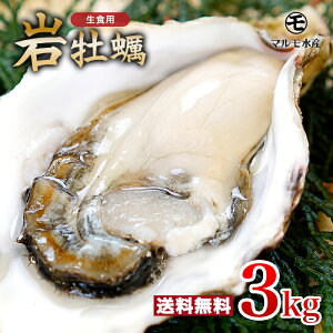 殻付き岩牡蠣(生食用) 3kg 1個130～180g 九十九島産 産地直送 長崎 牡蠣ナイフ付 ギフト お中元 敬老の日 BBQ バーベキュー 夏 旬 3キロ 海のミルク 焼きガキ カキフライ お取り寄せ 【送料無料】マルモ水産 [岩がき/岩ガキ/生牡蠣]