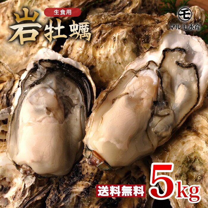 殻付き岩牡蠣(生食用) 5kg 1個130～180g 九十九島産 産地直送 長崎 牡蠣ナイフ付 ギフト お中元 敬老の日 BBQ バーベキュー 夏 旬 5キロ 海のミルク 焼きガキ カキフライ お取り寄せ 【送料無料】マルモ水産 [岩がき/岩ガキ/生牡蠣]