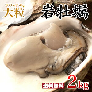 大粒 200～250g 殻付き岩牡蠣(生食用) 2kg 九十九島産 産地直送 長崎 牡蠣ナイフ付 ギフト お中元 敬老の日 BBQ バーベキュー 夏 旬 2キロ 大ぶり 海のミルク 焼きガキ カキフライ お取り寄せ 【送料無料】マルモ水産 [岩がき/岩ガキ/生牡蠣]