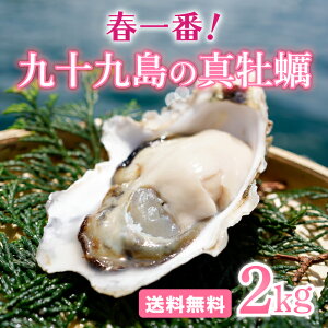 【送料無料】UV殺菌済【安心安全】生食可《九十九島産》春一番！殻付き生牡蠣2kg／開け方ガイド付／マルモ水産旨みが凝縮一年モノ！家族4人で満足量！北海道・沖縄は別途送料850円