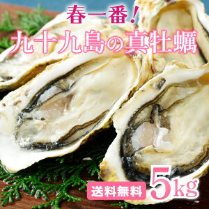 【送料無料】《九十九島産》春一番！殻付き牡蠣5kgガイド付／生食可／UV殺菌処理／マルモ水産ホームパーティーにもぴったりな大ボリューム！北海道・沖縄は別途送料850円