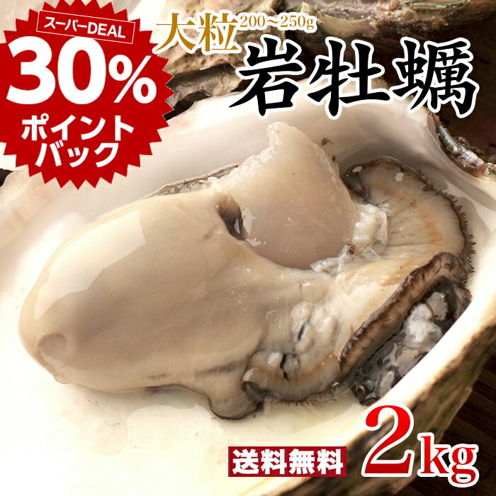 大粒 200～250g 殻付き岩牡蠣(生食可) 2kg 九十九島産 産地直送 九州 長崎 佐世保 ギフト 父の日 お中元 敬老の日 BBQ バーベキュー 夏 旬 2キロ 大ぶり 海のミルク 焼きガキ カキフライ お取り寄せ 開け方ガイド・ナイフ付き 【送料無料】マルモ水産 [岩がき/岩ガキ/生牡蠣]