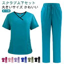 女性用 スクラブ 半袖 上下セット 介護士 総ゴムパンツ 白衣 医療 看護師 ナース パンツ ズボン かわいい ナース服 医療用 レディース 白衣 ナース服 ナ...