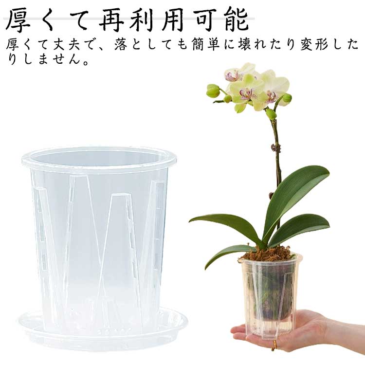 根腐れ防止 洋蘭 6鉢セット 植木鉢 鉢 多穴型 通気性抜群 胡蝶蘭の植え替え 直径14cm 直径16cm 直径12cm プラスチック 直径10cm 排水穴付き 胡蝶蘭専用 おしゃれ 蘭の鉢 観葉植物の鉢 透明 クリア 根が見える鉢 多肉植物 受皿付き