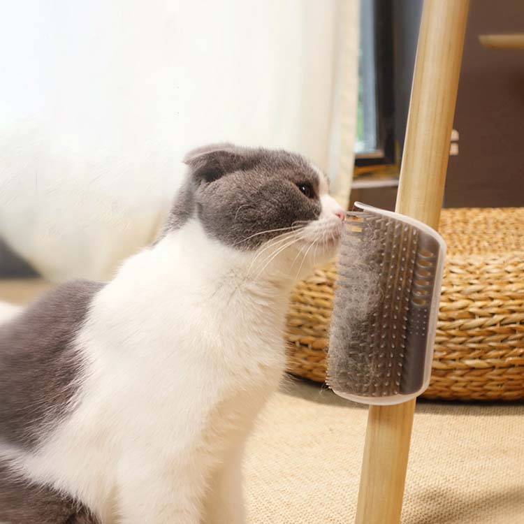 送料無料 2点セット ペット用ブラシ 猫 犬 抜け毛取り ペット専用 ブラシ スリッカ...