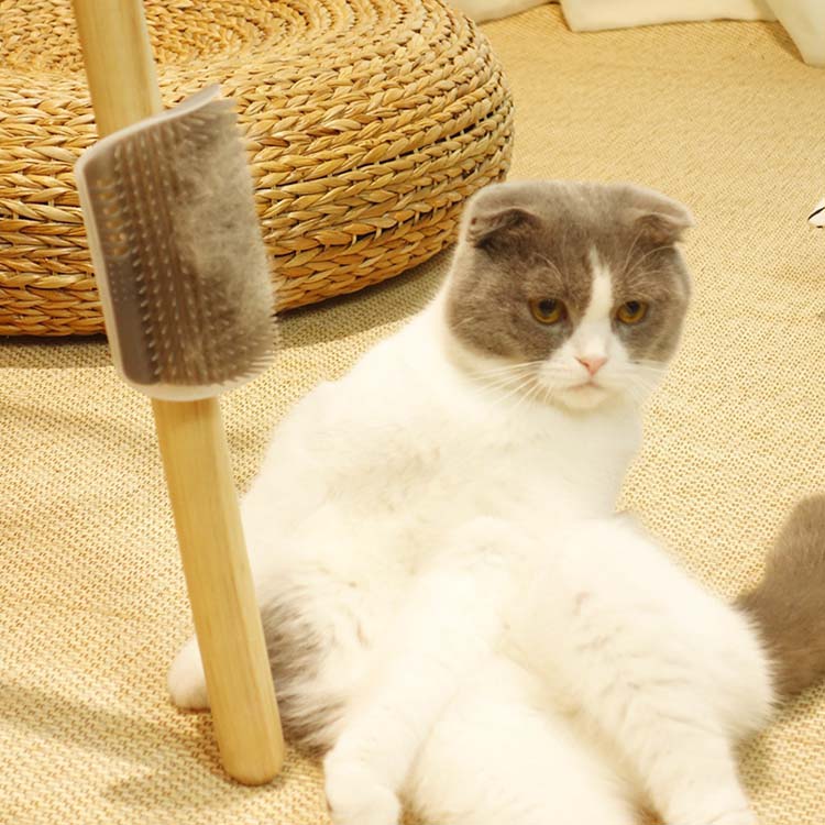 送料無料 2点セット ペット用ブラシ 猫 犬 抜け毛取り ペット専用 ブラシ スリッカ...