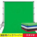 グリーン 透けない 撮影用 無反射布 背景布 クロマキー 緑 バックペーパー 暗幕 3m×2m 厚地 スタジオ グリーンバック 白