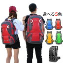 登山 リュックサック 旅行 登山 登山 リュック ザック アウトドア バッグ 登山 軽量 バッグ 40/60L 撥水 防災リュック 大容量 バックパック 遠足(4)