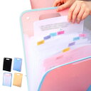 ドキュメントファイル ドキュメントファイル プリント入れ 文房具 収納 ファイルケース ポケットファイル 書類ケース 事務用品 分類 収納 アコーディオン式 オ...