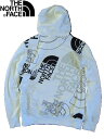 ザ・ノース・フェイス THE NORTH FACE MEN'S GRAPHIC INJECTION HOODIE / グラフィック インジェクション フーディ / ロングスリーブ / バックプリント / バックロゴ / プルオーバーパーカー / フーディ / pull over parka / メンズ / 長袖 / NF0A7UO5 / ホワイト