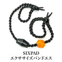 訳あり SIXPADシックスパッド エクササイズバンドエス ストレッチ バンド 肩甲骨 エクササイズ ダイエット 肩 腰 室内 フィットネス 健康 美容 [17066]【3980円以上送料無料】 その1