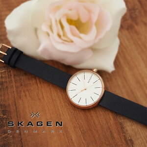 商品画像：アクアベースで人気のSKAGEN スカーゲン レディース 腕時計 SIGNATUR シグネチャー 30mm ローズゴールド×ネイビー SKW2592 スカーゲン 腕時計 レディース