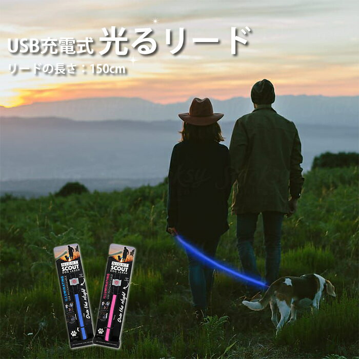 LED 光るリード 150cm 充電用USBケーブル付き 全2色 小型犬 中型犬 大型犬 LEDリード 犬用 リード ドッグリーシュ 鎖 犬 リード ピンク ブルー NIGHT SCOUT