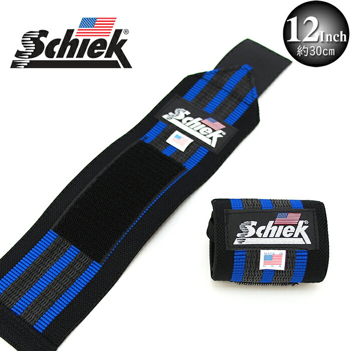 Schiek  ꥹȥå 12(30cm) BLUE LINE ȥ졼˥ ꥹȥå ڥȥ    ݡ 1ȥ...