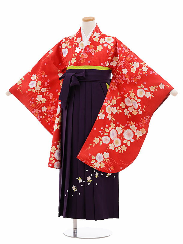 サイズについて ■肩裄：65cm　袖丈：75cm　袴丈：83cm ※小物はこちらでコーディネートさせて頂きます。 ※総柄（小紋）のため写真と柄の出方が少し異なることがあります ※こちらの商品の長襦袢は、袖なしタイプになります。 肌襦袢は付属いたしませんのでキャミソールなどの袖の無い肌着をご用意ください。 ※箱タイプでの配送となります。 対応身長 143cm〜148cm前後 〜〜予約状況〜〜