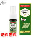 森川健康堂 プロポリススプレー 20ml