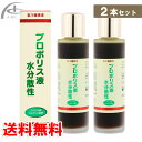 森川健康堂 プロポリス液 水分散性 60ml 2本セット 送料無料