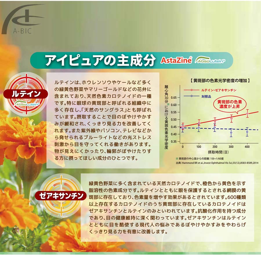 �����ԥ奢��60γ �������� ����̵��