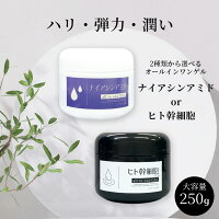 ヒト幹細胞 ナイアシンアミド オールインワンジェル 250g 保湿ジェル オールインワン オールインワンゲル オールインワンジェル エイジングケア 肌荒れケア 毛穴 ハリ 弾力 予防美容 敏感肌 美肌 保湿 日本製 送料無料