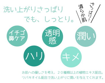 【楽天1位】【BOTANICAL】PICOMONTE ボタニカル フェイスウォッシュ パウチ(泡立てネット付き)【日本製 洗顔 ジェル フォーム オーガニック成分配合 濃密泡 プラセンタ】【メール便 送料無料】【M2】【ポイント消化】