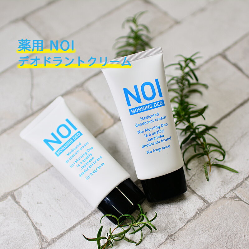 2個セット【医薬部外品】薬用 デオドラントクリーム NOI モーニングデオ 50g ノイ ニオイケア 大容量 消臭 防臭 制汗 体臭 ワキガ 足の ニオイ 消す 臭い 朝 消臭ジェル デオドラント 消臭クリーム 長時間 対策 汗 蒸れ スメハラ ゆうパケット 送料無料