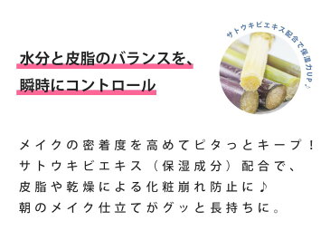 ウィッチズポーチ ウィッチズ フィクサー 120ml ローズの香り /おすすめ/毛穴/透明感/潤い/ハリ/ツヤ/栄養/韓国コスメ/美容液/化粧水/プレゼント/ギフト/定形外送料無料