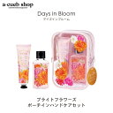 【母の日★SALE】クリアポーチ入り ハンドケア セット デイズインブルーム bright flowers ハンド&ネイルクリーム ハンドソープ 2点セット ハ...