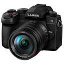 デジタルカメラ デジカメ カメラ パナソニック LUMIX G99II デジタル一眼カメラ 高倍率ズームレンズキット ルミックス DC-G99M2H ブラック 在庫有、最短出荷