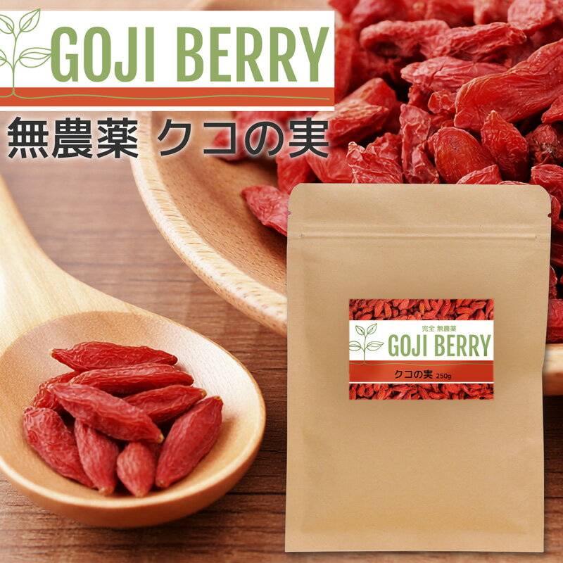 ゴジベリー クコの実 1袋 250g入り 無農薬 スーパーフード ウルフベリー ドライフルーツ 薬膳 トッピング 枸杞子 2袋 セット 500g