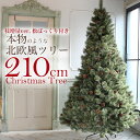 北欧 クリスマスツリー 210cm おしゃれ ヌードツリー ...