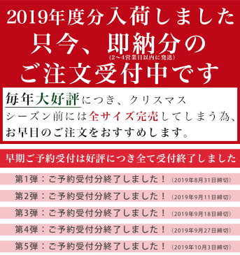 北欧 クリスマスツリー 180cm おしゃれ ヌードツリー もみの木 2019年 枝増量バージョン 松ぼっくり付き 1.8m 単品 【LED ライト オーナメント 飾り なし】