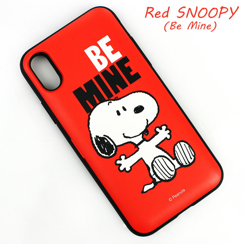 pean-ipcase-rd-sn.jpg
