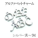 アルファベット イニシャル チャーム A〜M 約15mm 銀（シルバー） （1ヶ&丸カン1ヶ付き）