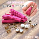 タッセルピアスセット (1セット)