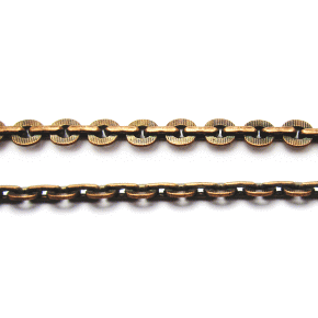 ڥȥåȡ۾Ƚ 10 Ƽ 6mm
