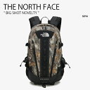 THE NORTH FACE ノースフェイス リュック BIG SHOT NOVELTY ビッグショット ノベルティ デイパック バックパック バッグ リュック...