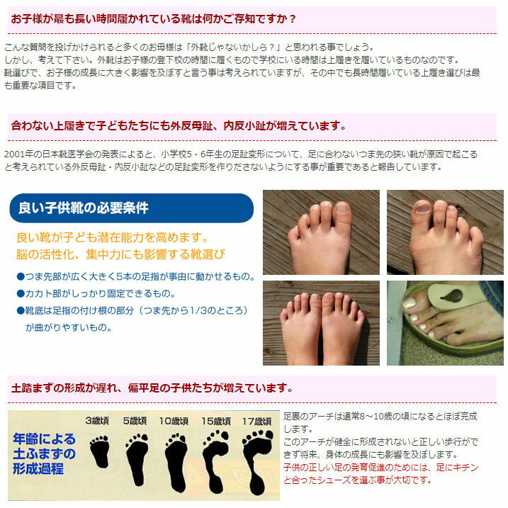 上履き 内履き 上靴 教育バレーDX 教育シューズ 運動靴 校内履き 小学校 幼稚園 保育園 人気 キッズ 【SALE/69%OFF】 子ども バレーシューズ おすすめ 女の子 2足セット 体育館 男の子 上履き 内履き 上靴 教育バレーDX 教育シューズ 運動靴 校内履き 小学校 幼稚園 保育園 人気 キッズ 【SALE/69%OFF】 子ども バレーシューズ おすすめ 女の子 2足セット 体育館 男の子